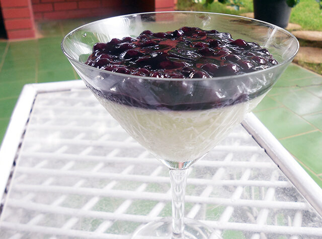 Blueberry Panna Cotta